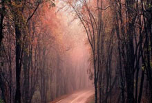 新手科普：什么是草榴邀请码？详解获取方式与作用