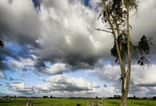 草榴社区科普：从新手到统治者的一站式成长攻略