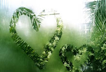 关于我们【98堂-色花堂-邀请码-官方授权】