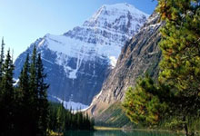 新手必看：关于草榴你不知道的小秘密